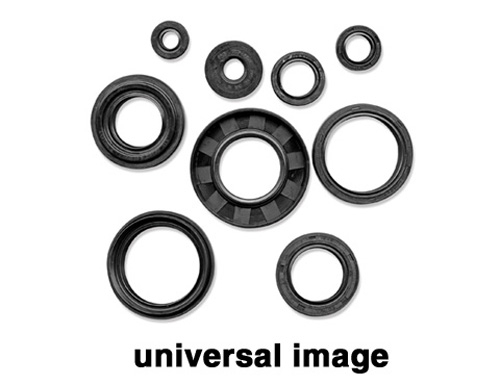 Vertex - Vertex Jet Pump Seal Kit - 623105