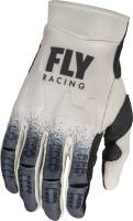Fly Racing - Fly Racing Evolution Dst Youth Gloves - 376-113YL - Image 1