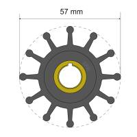 Albin Pump Marine - Albin Pump Premium Impeller Kit 57 x 12.7 x 20mm - 12 Blade - Key Insert - Image 1