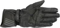 Alpinestars - Alpinestars Racing Professional GP Plus R V2 Gloves - 3556520-10-2X - Black - 2XL - Image 2