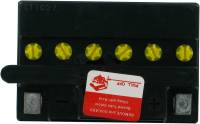 Parts Unlimited - Parts Unlimited 12V Heavy Duty Battery - LEMM2210Y-C - Image 2