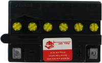 Parts Unlimited - Parts Unlimited 12V Conventional Battery - LEMM2241B-C - Image 2