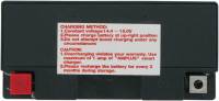 Parts Unlimited - Parts Unlimited AGM Factory Activated Maintenance-Free Battery - CT9B-4 - Image 2