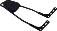 Motherwell - Motherwell One-Piece Sissy Bars - Gloss Black - 156T18-GB-WP - Image 1