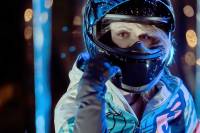 Icon - Icon Airform Solid Helmet - 0101-12102 - Gloss Black - Medium - Image 4