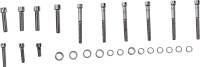 Diamond Engineering - Diamond Engineering Transmission Side Cover OEM-Style Polished Stainless Engine Bolt Kit - DE5251HP - Image 1