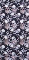 Schampa - Schampa Tube - TUBE-70 - Skull and Crossbones - OSFM - Image 1