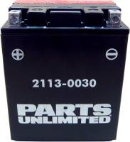 Parts Unlimited - Parts Unlimited AGM Maintenance-Free Battery - CTX14AH-BS - Image 1