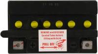 Parts Unlimited - Parts Unlimited 12V Heavy Duty Battery - HCB16A-AB - Image 2