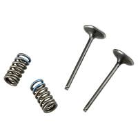 Pro-X - Pro-X Steel Intake Valve and Spring Kit - 28.SIS1337-2 - Image 1