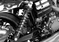 Legends - Legends REVO Coil Suspension - 12in. - Heavy Duty - Black - 1310-0944 - Image 2