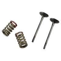 Pro-X - Pro-X Steel Exhaust Valve and Spring Kit - 28.SES4335-1 - Image 1