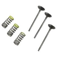 Pro-X - Pro-X Steel Intake Valve and Spring Kit - 28.SIS2402-2 - Image 1