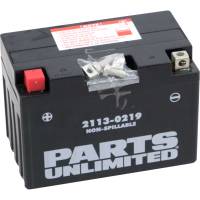 Parts Unlimited - Parts Unlimited AGM Factory Activated Maintenance-Free Battery - CT12A-BS - Image 1