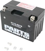 Parts Unlimited - Parts Unlimited AGM Factory Activated Maintenance-Free Battery - CT12A-BS - Image 2