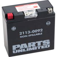 Parts Unlimited - Parts Unlimited AGM Factory Activated Maintenance-Free Battery - CT14B-4 - Image 1