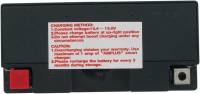 Parts Unlimited - Parts Unlimited AGM Factory Activated Maintenance-Free Battery - CT14B-4 - Image 2