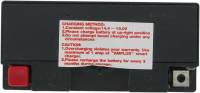Parts Unlimited - Parts Unlimited AGM Factory Activated Maintenance-Free Battery - CT12B-4 - Image 2