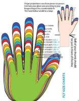 Fly Racing - Fly Racing Kinetic Gloves (2017) - 370-41512 - Lime/Blue - 12 - Image 2