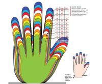 Fly Racing - Fly Racing F-16 Youth Gloves - 372-91106 - Blue/Black/Hi-Vis - 6 - Image 2