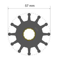 Albin Pump Marine - Albin Pump Premium Impeller Kit 57 x 16 x 31.5mm - 12 Blade - Spline Insert - Image 1