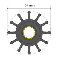 Albin Pump Marine - Albin Pump Premium Impeller Kit 57 x 16 x 48.2mm - 12 Blade - Spline Insert - Image 1