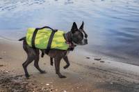 Slippery - Slippery Pet Vest - 3240-0846 - Yellow/Green - Medium - Image 2