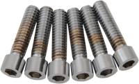 Drag Specialties - Drag Specialties Transmission Top Cover Bolt Kit - Smooth - 2401-0988 - Image 1
