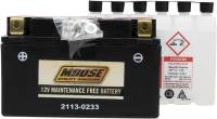 Moose Racing - Moose Racing AGM Maintenance-Free Battery - MTZ10S-BS - Image 1