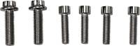 Diamond Engineering - Diamond Engineering Front Caliper Mount 12-Point Polished Stainless Individual Brake Bolt Kit - PB799S - Image 1