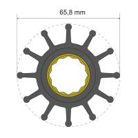 Albin Pump Marine - Albin Pump Premium Impeller Kit 65.8 x 25 x 80mm - 12 Blade - Spline Insert - Image 1
