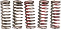 Pro Circuit - Pro Circuit Clutch Springs - CSH10250-CS - Image 1