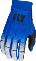 Fly Racing - Fly Racing Evolution Dst Youth Gloves - 376-112YL - Blue/Gray - Large - Image 1