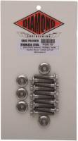 Diamond Engineering - Diamond Engineering Rocker Box 12-Point Polished Stainless Engine Bolt Kit - PB937S - Image 2