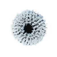 Shurhold - Shurhold 6-½" Stiff Brush f/Dual Action Polisher - Image 3