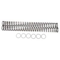 Race Tech - Race Tech Fork Springs - .42 kg/mm - FRSP 414642 - Image 1