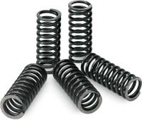 Pro Circuit - Pro Circuit Clutch Springs - CSH10250-CS - Image 2