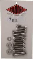 Diamond Engineering - Diamond Engineering Transmission Side Cover 12-Point Polished Stainless Engine Bolt Kit - PB569S - Image 2
