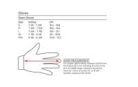 EVS - EVS Sport Gloves - GLS-BK-XL - Black - X-Large - Image 2