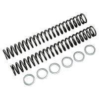 Race Tech - Race Tech Fork Springs - 1.0 kg/mm - FRSP S4031100 - Image 1