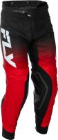 Fly Racing - Fly Racing Evolution DST Pants - 379-13234 - Image 1